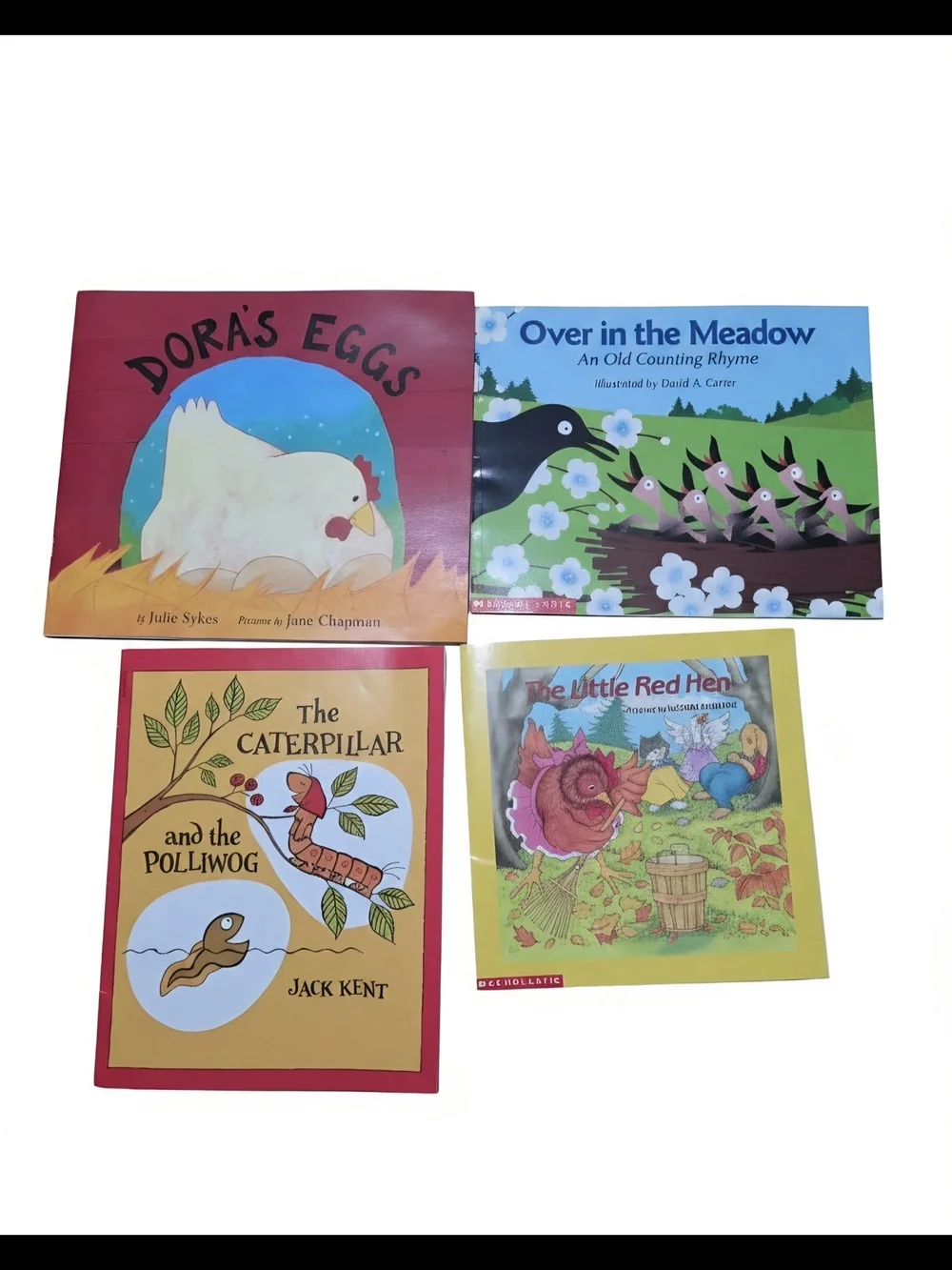 💥Children's Board Book Bundle - Yellow, Red, Blue & Green Covers